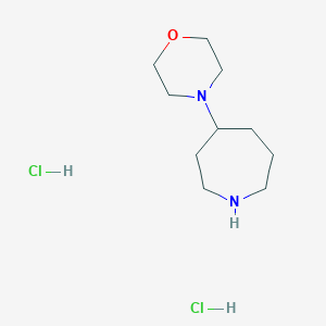 molecular formula C10H22Cl2N2O B1435980 4-(4-Morpholinyl)azepane dihydrochloride CAS No. 1001385-15-4