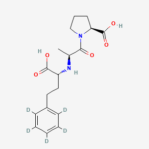 molecular formula C18H24N2O5 B1436009 (2S)-1-[(2S)-2-[[(1R)-1-Carboxy-3-(2,3,4,5,6-pentadeuteriophenyl)propyl]amino]propanoyl]pyrrolidine-2-carboxylic acid CAS No. 349554-00-3