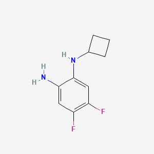 molecular formula C10H12F2N2 B1436068 N1-Cyclobutyl-4,5-difluorobenzene-1,2-diamine CAS No. 1863656-13-6