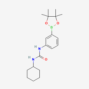 molecular formula C19H29BN2O3 B1436091 1-Cyclohexyl-3-(3-(4,4,5,5-tetramethyl-1,3,2-dioxaborolan-2-yl)phenyl)urea CAS No. 874299-12-4