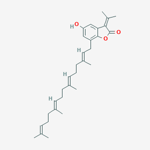 molecular formula C31H42O3 B143618 Rhuscholide A 