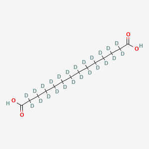 molecular formula C14H26O4 B1436207 Tetradecanedioic acid-d24 