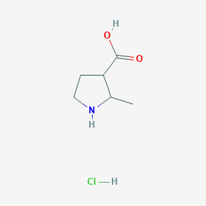 molecular formula C6H12ClNO2 B1436220 2-Methylpyrrolidine-3-carboxylic acid hydrochloride CAS No. 1803589-97-0