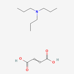 molecular formula C13H25NO4 B14362642 but-2-enedioic acid;N,N-dipropylpropan-1-amine CAS No. 92050-25-4