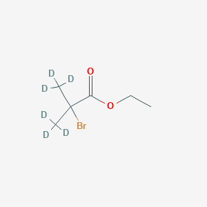 B1436315 Ethyl 2-bromo-2-methyl-D3-propionate-3,3,3-D3 CAS No. 64768-38-3