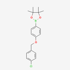 molecular formula C19H22BClO3 B1436395 1,3,2-Dioxaborolane, 2-[4-[(4-chlorophenyl)methoxy]phenyl]-4,4,5,5-tetramethyl- CAS No. 2246937-34-6