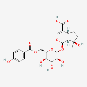 molecular formula C23H28O12 B1436438 6'-(p-Hydroxybenzoyl)mussaenosidic acid CAS No. 87667-61-6