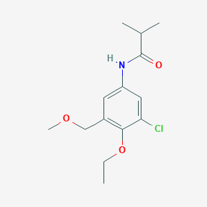 molecular formula C14H20ClNO3 B14366245 N-[3-Chloro-4-ethoxy-5-(methoxymethyl)phenyl]-2-methylpropanamide CAS No. 90257-33-3