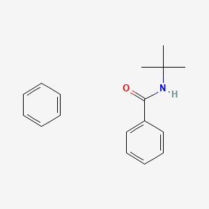 molecular formula C17H21NO B14368882 benzene;N-tert-butylbenzamide CAS No. 90252-29-2