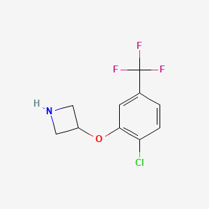 B1436969 3-[2-Chloro-5-(trifluoromethyl)phenoxy]azetidine CAS No. 1266475-62-0