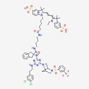 B1436976 2-[3-[1-[6-[4-[[2-[[4-[2-(3,4-Dichlorophenyl)ethylamino]-6-[5-[3-(trifluoromethyl)phenyl]sulfonyl-2,5-diazabicyclo[2.2.1]heptan-2-yl]-1,3,5-triazin-2-yl]amino]-1,3-dihydroindene-2-carbonyl]amino]butylamino]-6-oxohexyl]-3,3-dimethyl-5-sulfoindol-1-ium-2-yl]prop-2-enylidene]-1-ethyl-3,3-dimethylindole-5-sulfonic acid CAS No. 1186537-97-2