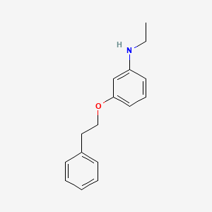 molecular formula C16H19NO B1437165 N-Ethyl-3-(phenethyloxy)aniline CAS No. 1040682-02-7