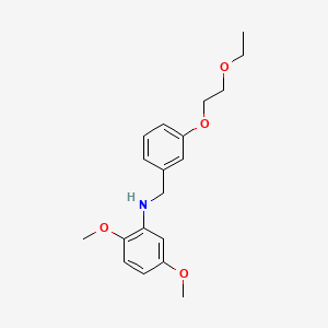 molecular formula C19H25NO4 B1437166 N-[3-(2-Ethoxyethoxy)benzyl]-2,5-dimethoxyaniline CAS No. 1040688-69-4