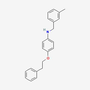 molecular formula C22H23NO B1437331 N-(3-Methylbenzyl)-4-(phenethyloxy)aniline CAS No. 1040693-82-0
