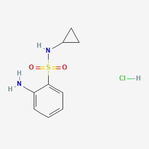 molecular formula C9H13ClN2O2S B1437397 2-amino-N-cyclopropylbenzene-1-sulfonamide hydrochloride CAS No. 1171358-67-0