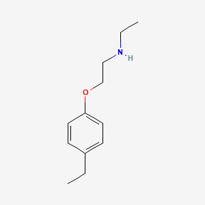 molecular formula C12H19NO B1437537 N-Ethyl-2-(4-ethylphenoxy)ethanamine CAS No. 915924-21-9