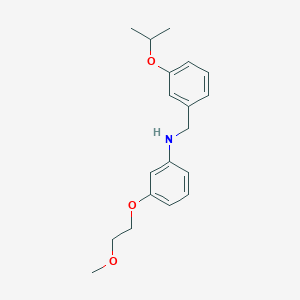 molecular formula C19H25NO3 B1437547 N-(3-Isopropoxybenzyl)-3-(2-methoxyethoxy)aniline CAS No. 1040686-79-0