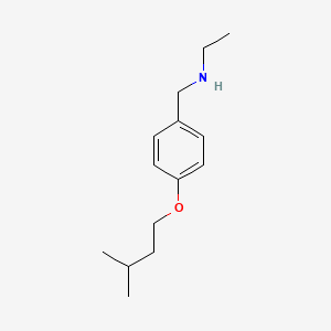 B1437570 N-[4-(Isopentyloxy)benzyl]-1-ethanamine CAS No. 23014-34-8