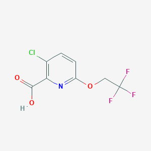 molecular formula C8H5ClF3NO3 B1437579 3-Chloro-6-(2,2,2-trifluoroethoxy)pyridine-2-carboxylic acid CAS No. 1021043-31-1