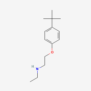 molecular formula C14H23NO B1437582 N-{2-[4-(Tert-butyl)phenoxy]ethyl}-N-ethylamine CAS No. 1039836-68-4