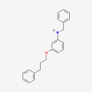 molecular formula C22H23NO B1437585 N-Benzyl-3-(3-phenylpropoxy)aniline CAS No. 1040690-41-2