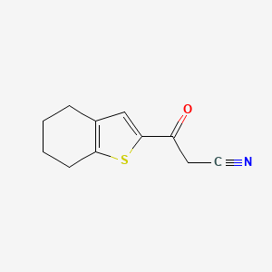 molecular formula C11H11NOS B1437817 3-Oxo-3-(4,5,6,7-tetrahydro-1-benzothiophen-2-yl)propanenitrile CAS No. 1019385-55-7