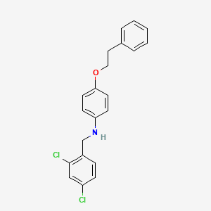 molecular formula C21H19Cl2NO B1437834 N-(2,4-Dichlorobenzyl)-4-(phenethyloxy)aniline CAS No. 1040693-77-3
