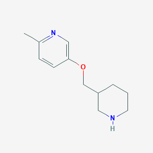 B1437979 2-Methyl-5-(3-piperidinylmethoxy)pyridine CAS No. 914299-47-1