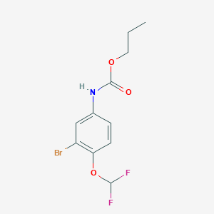 molecular formula C11H12BrF2NO3 B14380014 Propyl [3-bromo-4-(difluoromethoxy)phenyl]carbamate CAS No. 88715-18-8