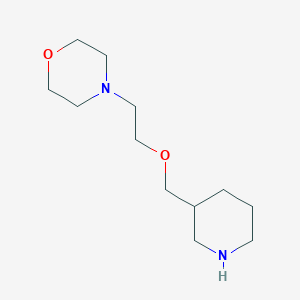 molecular formula C12H24N2O2 B1438049 4-[2-(3-Piperidinylmethoxy)ethyl]morpholine CAS No. 946713-06-0