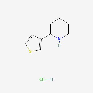 molecular formula C9H14ClNS B1438051 2-(Thiophen-3-yl)piperidine hydrochloride CAS No. 1187173-80-3
