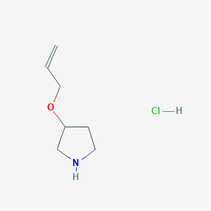 molecular formula C7H14ClNO B1438056 3-(Allyloxy)pyrrolidine hydrochloride CAS No. 1185299-07-3