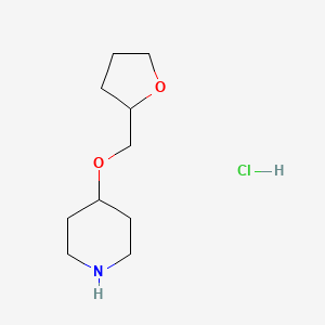 4-(Tetrahydro-2-furanylmethoxy)piperidine hydrochloride