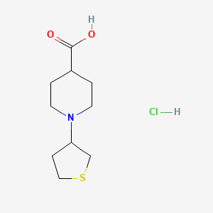 1-(Tetrahydro-3-thienyl)piperidine-4-carboxylic acid hydrochloride