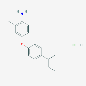 4-[4-(Sec-butyl)phenoxy]-2-methylphenylamine hydrochloride