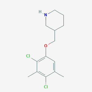 3-[(2,4-Dichloro-3,5-dimethylphenoxy)methyl]-piperidine