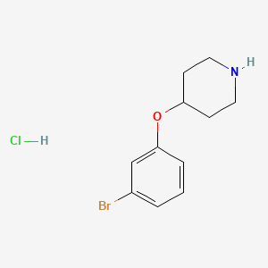 molecular formula C11H15BrClNO B1438151 4-(3-Bromophenoxy)piperidine hydrochloride CAS No. 1072944-50-3