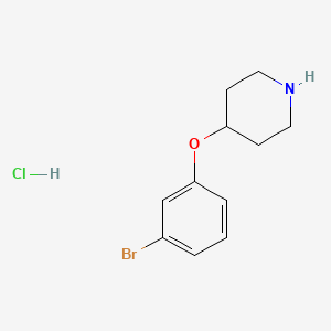 4-(3-Bromophenoxy)piperidine hydrochloride