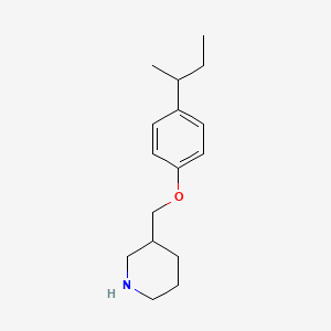 3-{[4-(sec-Butyl)phenoxy]methyl}piperidine