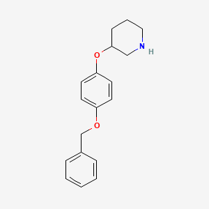 molecular formula C18H21NO2 B1438159 3-[4-(Benzyloxy)phenoxy]piperidine CAS No. 946759-24-6