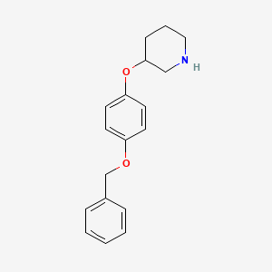 3-[4-(Benzyloxy)phenoxy]piperidine
