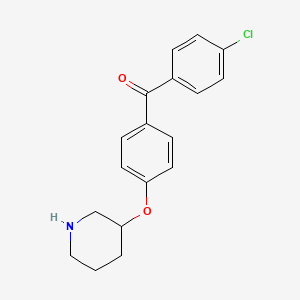 (4-Chlorophenyl)[4-(3-piperidinyloxy)phenyl]-methanone