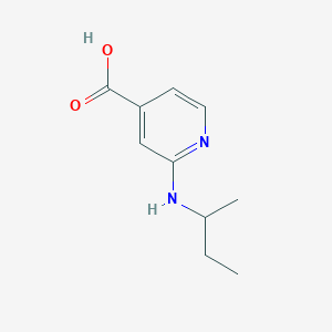 2-(Sec-butylamino)isonicotinic acid