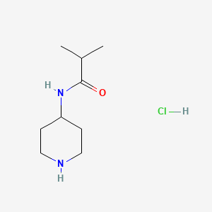 molecular formula C9H19ClN2O B1438406 2-甲基-N-(哌啶-4-基)丙酰胺盐酸盐 CAS No. 1170578-54-7