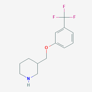molecular formula C13H16F3NO B1438433 3-{[3-(Trifluoromethyl)phenoxy]methyl}piperidine CAS No. 405062-74-0