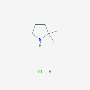 molecular formula C6H14ClN B1438439 2,2-二甲基吡咯烷盐酸盐 CAS No. 623580-01-8