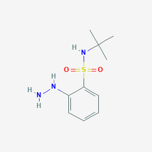 molecular formula C10H17N3O2S B1438693 N-tert-butyl-2-hydrazinylbenzene-1-sulfonamide CAS No. 1155001-72-1