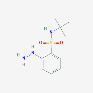 N-tert-butyl-2-hydrazinylbenzene-1-sulfonamide
