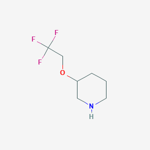 molecular formula C7H12F3NO B1438723 3-(2,2,2-Trifluoroethoxy)piperidine CAS No. 1000931-80-5