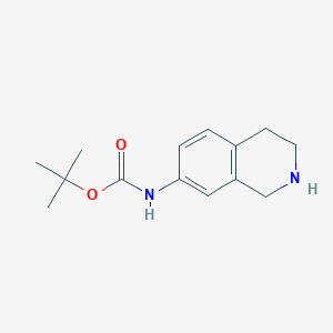 B1439097 Tert-butyl 1,2,3,4-tetrahydroisoquinolin-7-ylcarbamate CAS No. 885270-54-2